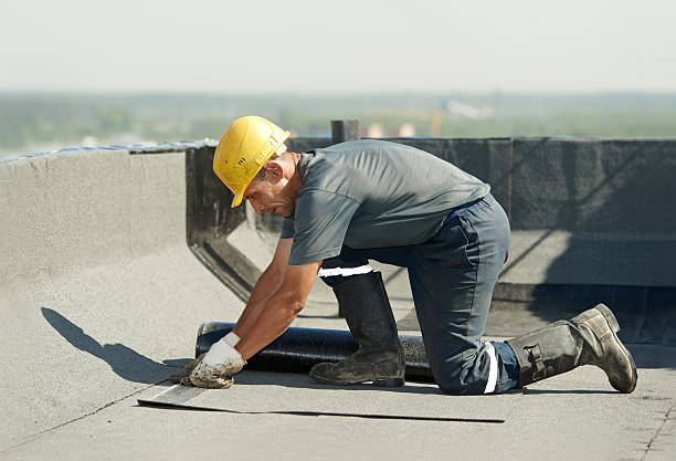 Best Geographic-Specific Insulation Services in Zanesville, OH